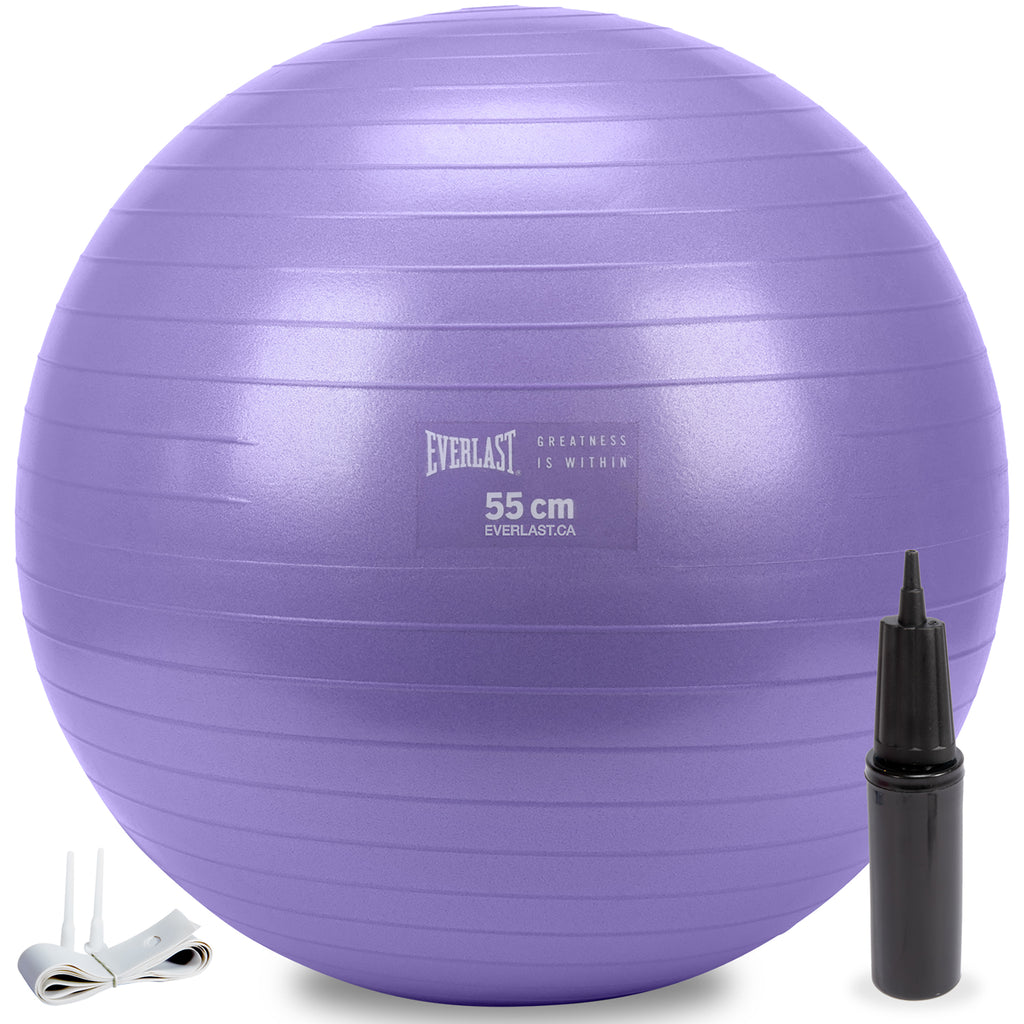 55cm Anti-Burst Stability Ball W/3LB Sand Weight