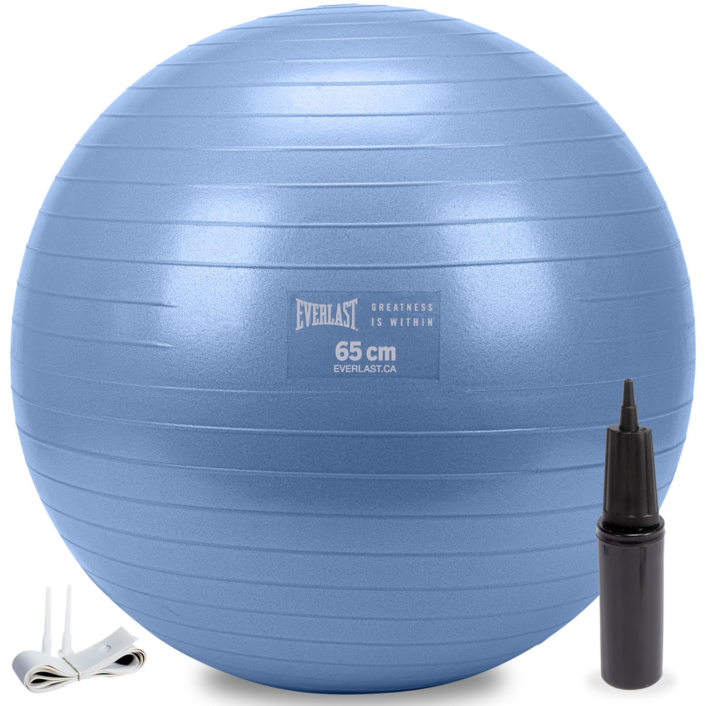65cm Anti-Burst Stability Ball W/3LB Sand Weight