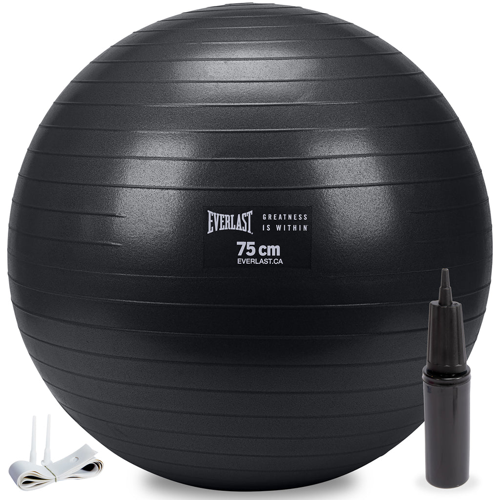 75cm Anti-Burst Stability Ball W/3LB Sand Weight