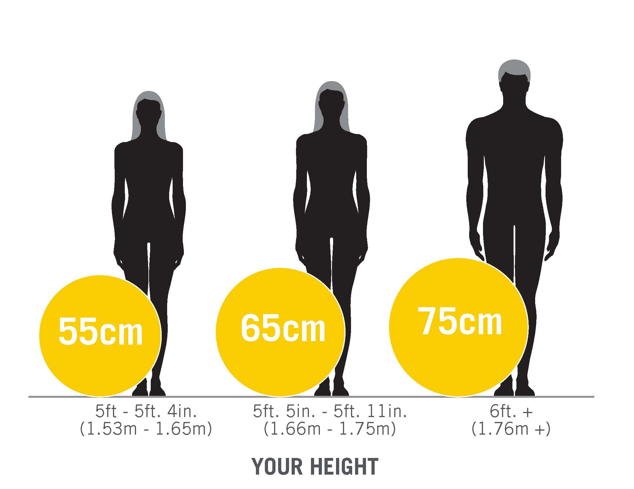 Everlast Fitness Ball Size Guide